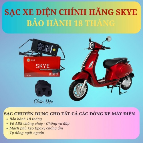 SẠC XE ĐIỆN CHÍNH HÃNG PHÙ HỢP VỚI TẤT CẢ CÁC HÃNG XE ĐIỆN