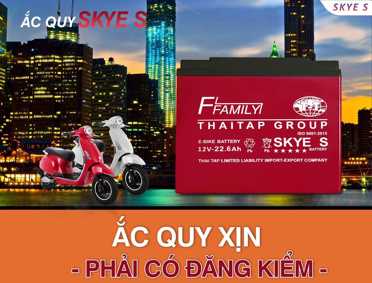 Ắc quy SKYE 12v13-6ah