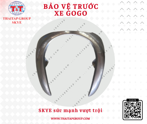 Bảo vệ trước Gogo