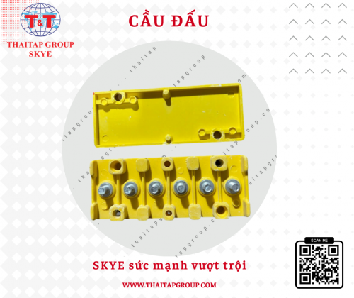 Cầu đấu các loại