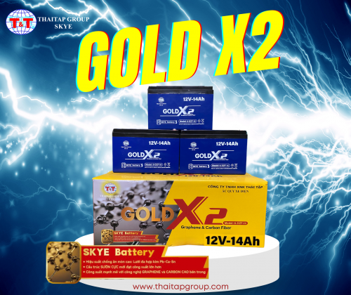 CÔNG TY TNHH XNK THÁI TẬP - Giới thiệu sản phẩm SKYE Battery GOLD X2