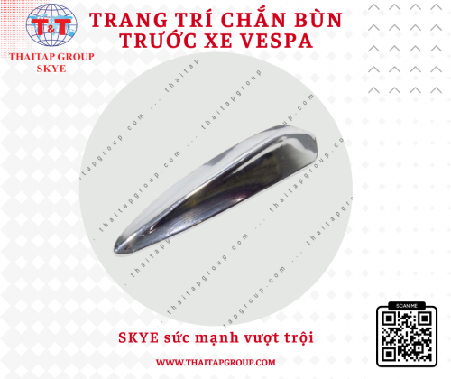 Trang trí chắn bùn trước