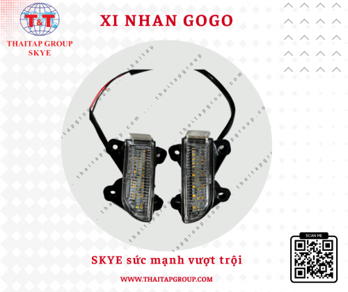 Xi nhan Gogo