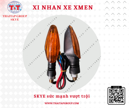 Xi nhan Xmen